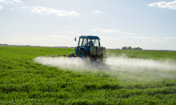 Groups Sue EPA Over Decades of Inaction on Harmful Endocrine-Disrupting Pesticides