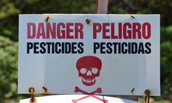 EPA Refuses to Regulate Risks of Pesticide Formulations