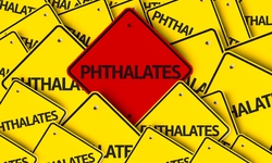 FDA Allows Hormone-Disrupting Phthalates in Food Packaging