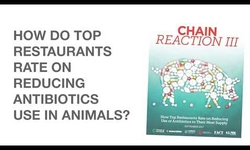 Chain Reaction III - In Weaning Fast Food Off Drugs, Chickens Get the Better Deal