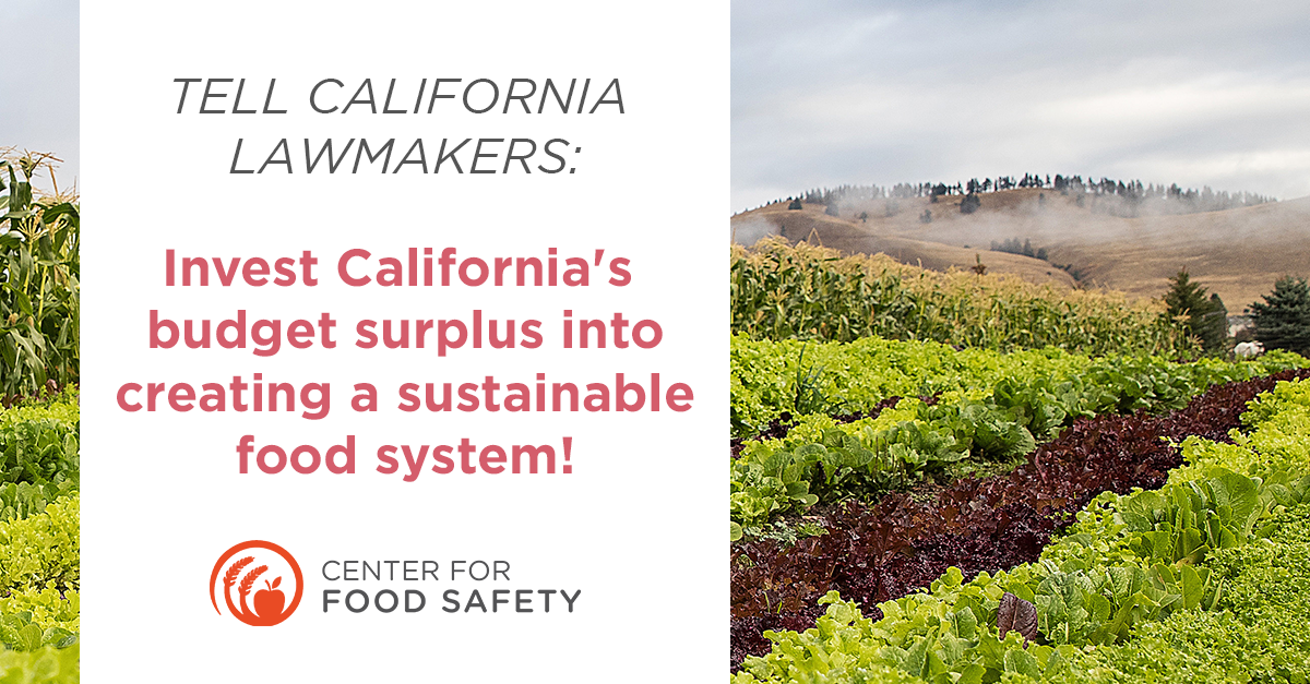 Let's Invest California's Budget Surplus in a Sustainable Food System