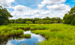 Statement on Supreme Court Ruling Limiting Wetland Protections under Clean Water Act