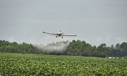 CFS Statement on EPA's Summary of Dicamba-Related Incident Reports from the 2021 Growing Season