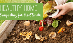 4 Ways to Compost for the Climate