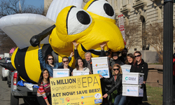 Bernie the Bee Leads March on EPA; Delivers Half a Million Signatures Asking for Protections for Pollinators