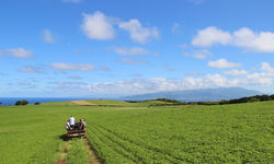 Healthy Soils, Healthy Ranching in Hawai'i