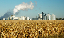 Fueling the Food Industry: Distillers Grains