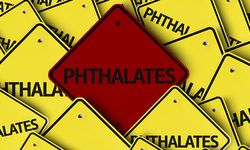 Groups Sue to Force FDA Decision on Petitions to Ban Phthalates in Food