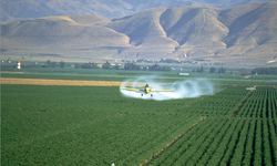 Meet the New Monsanto: Dow Chemical... and Their New 'Agent Orange' Crops